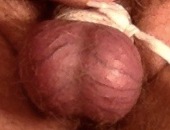 Imacocksucker1234